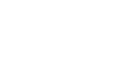 The University of Chicago